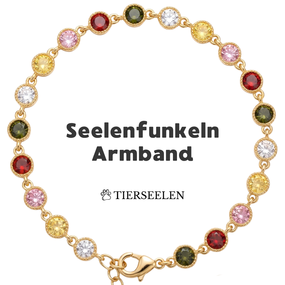 Paw Luck Bracelet