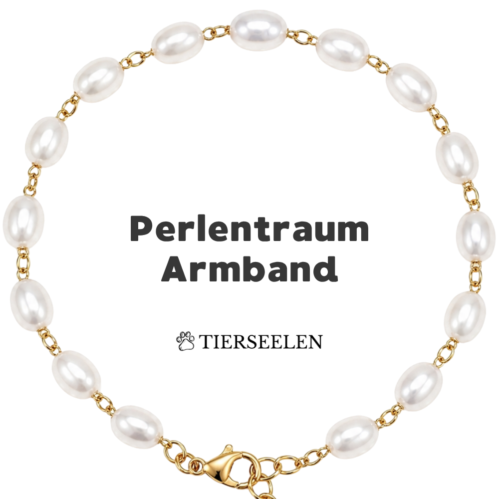Paw Luck Bracelet