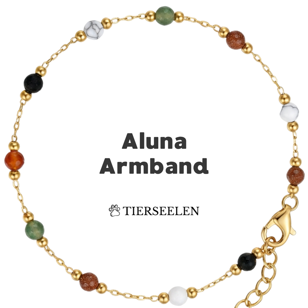 Paw Luck Bracelet