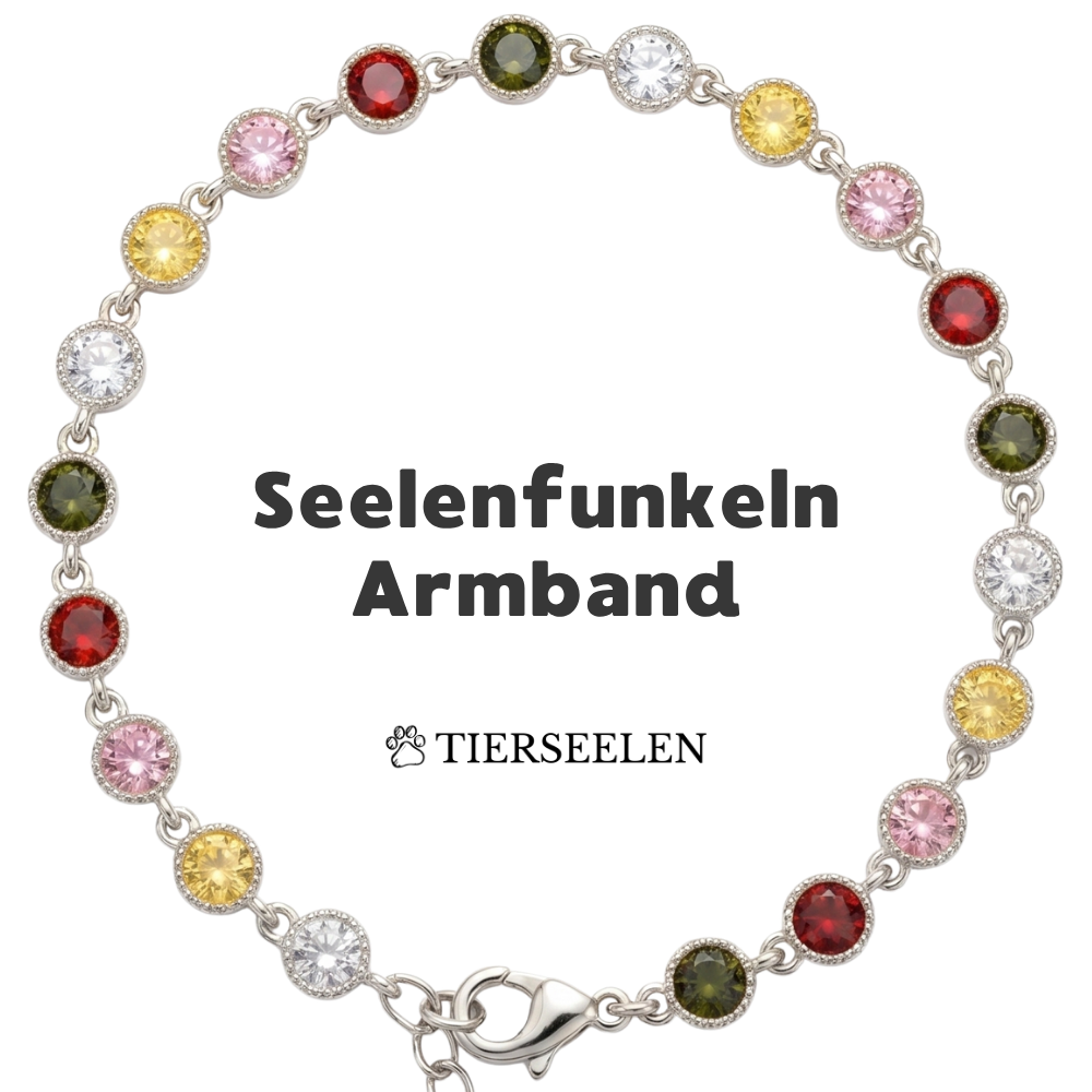 Paw Luck Bracelet