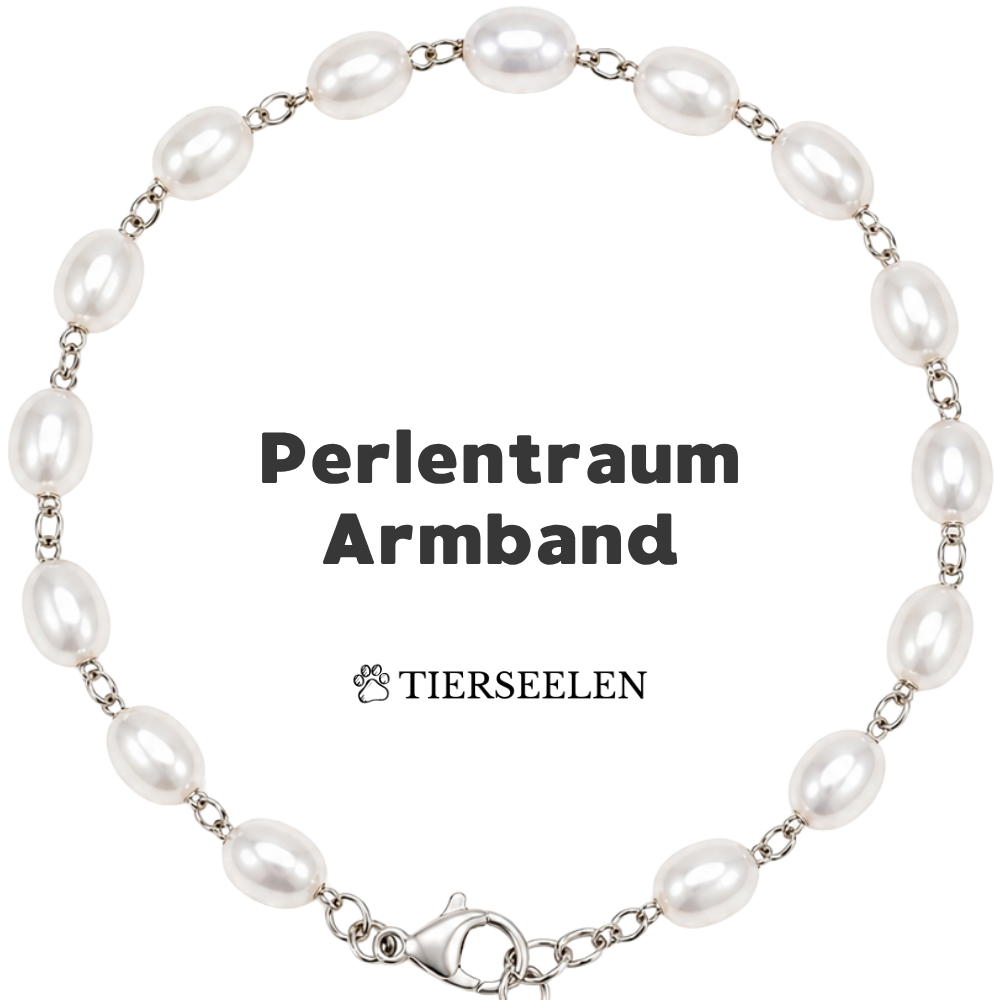 Paw Luck Bracelet