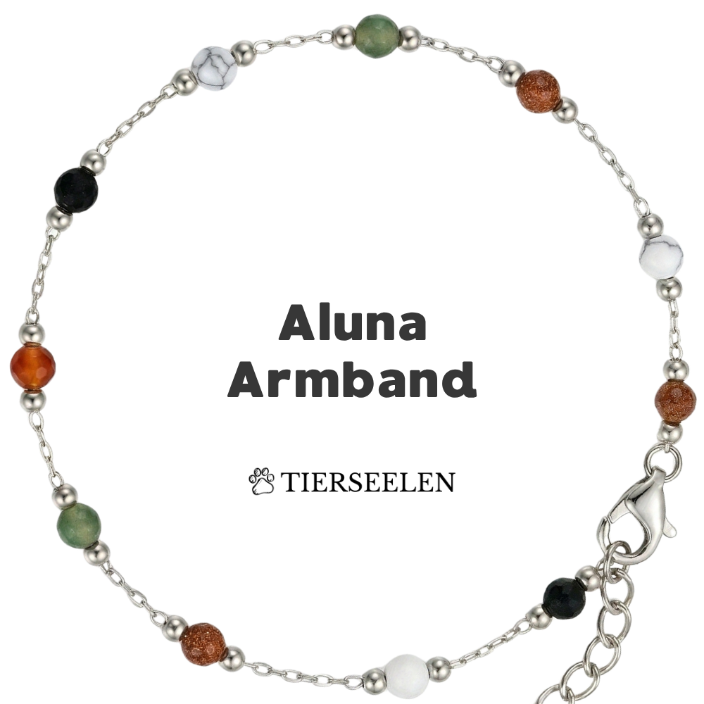 Paw Luck Bracelet