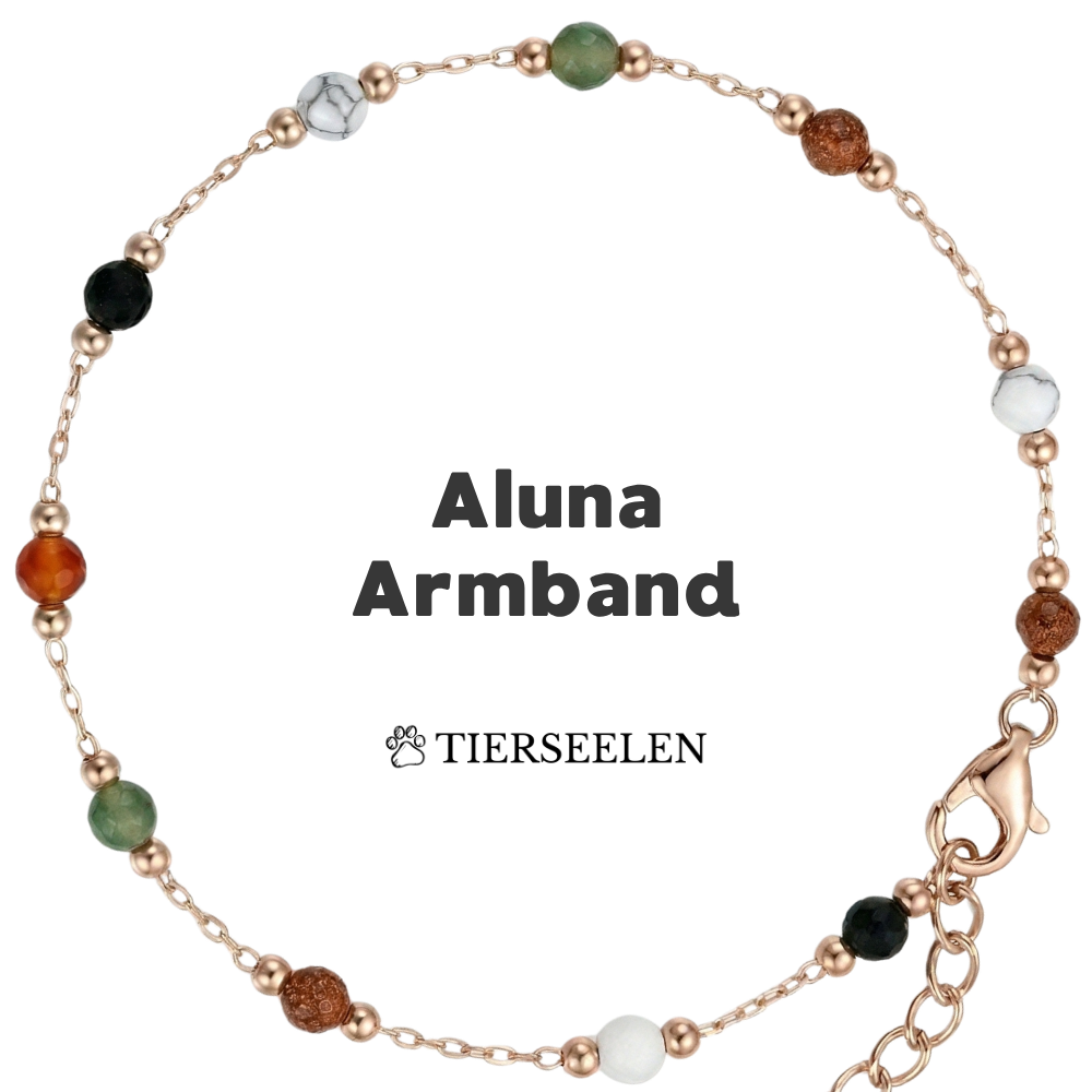 Paw Luck Bracelet