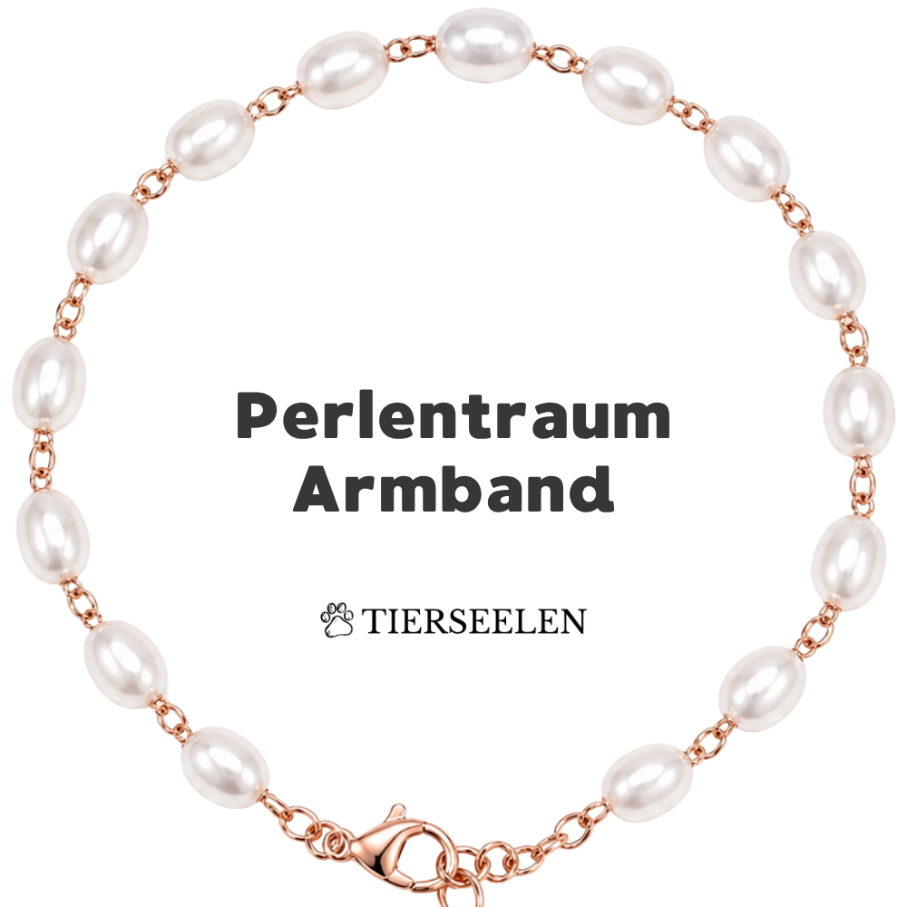 Paw Luck Bracelet