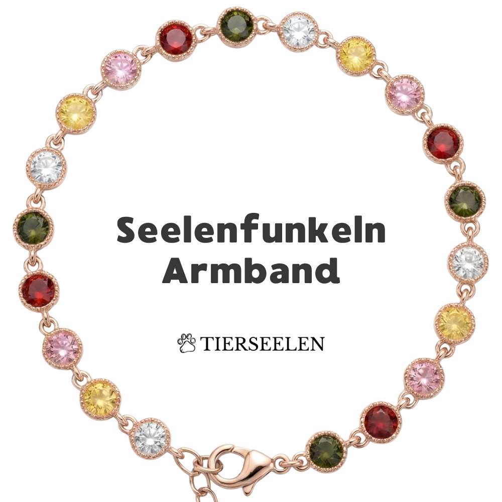 Paw Luck Bracelet