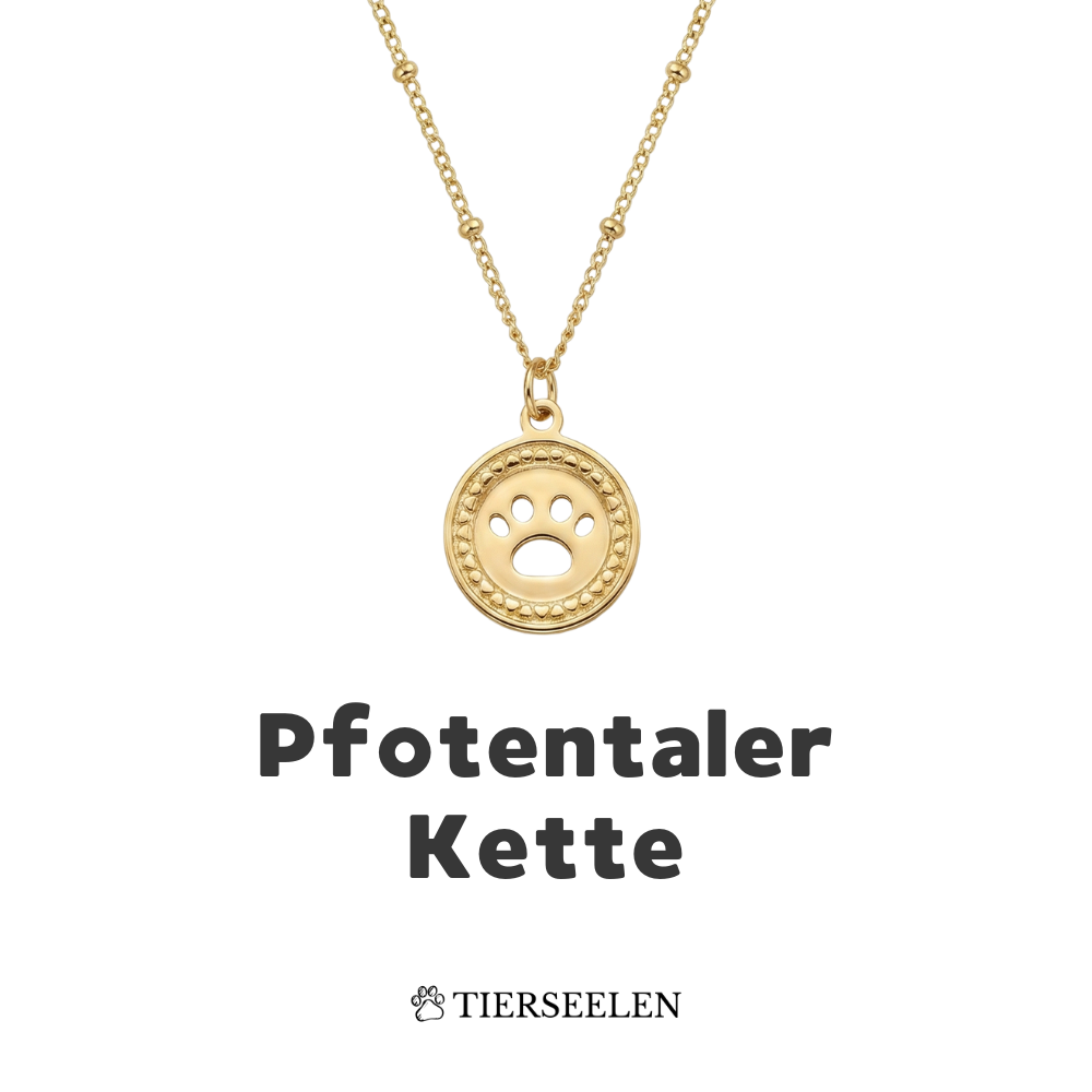 Paw Coin Chain