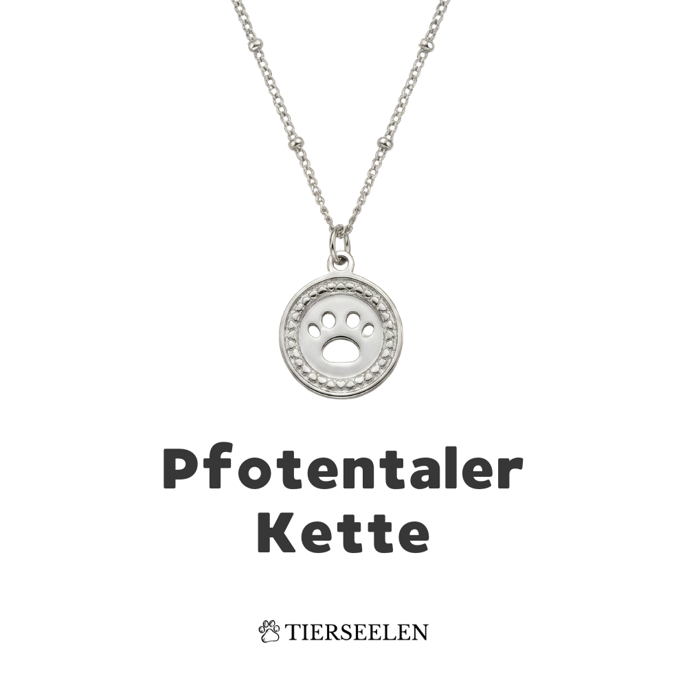 Paw Coin Chain