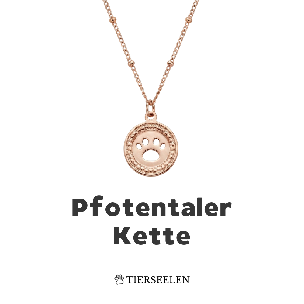 Paw Coin Chain