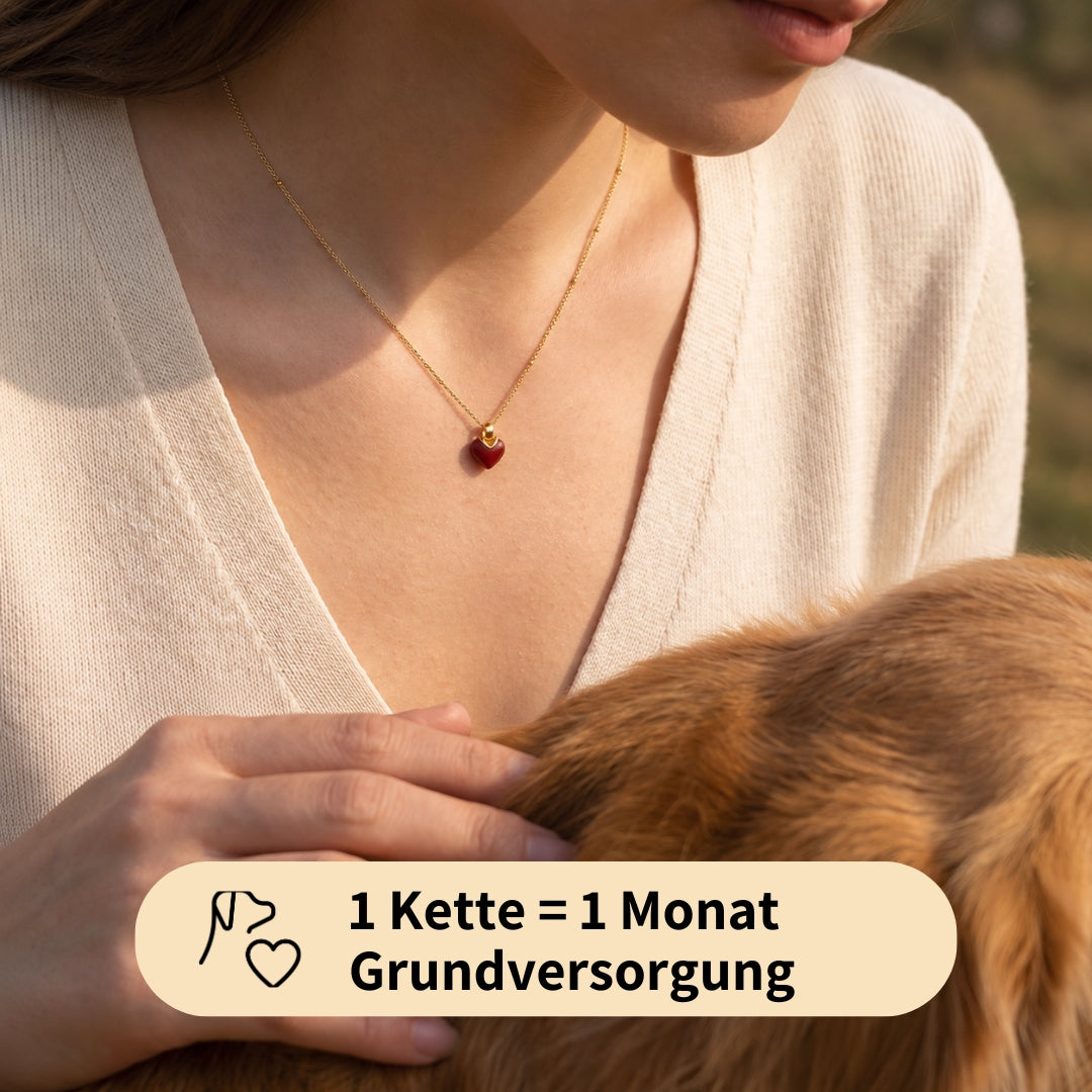 Paw Love Necklace