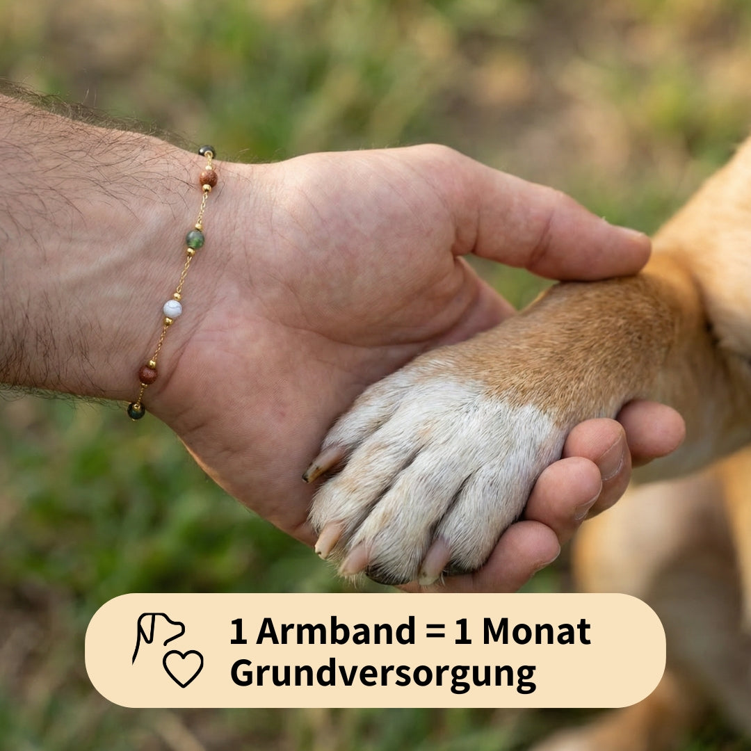 Paw Luck Bracelet