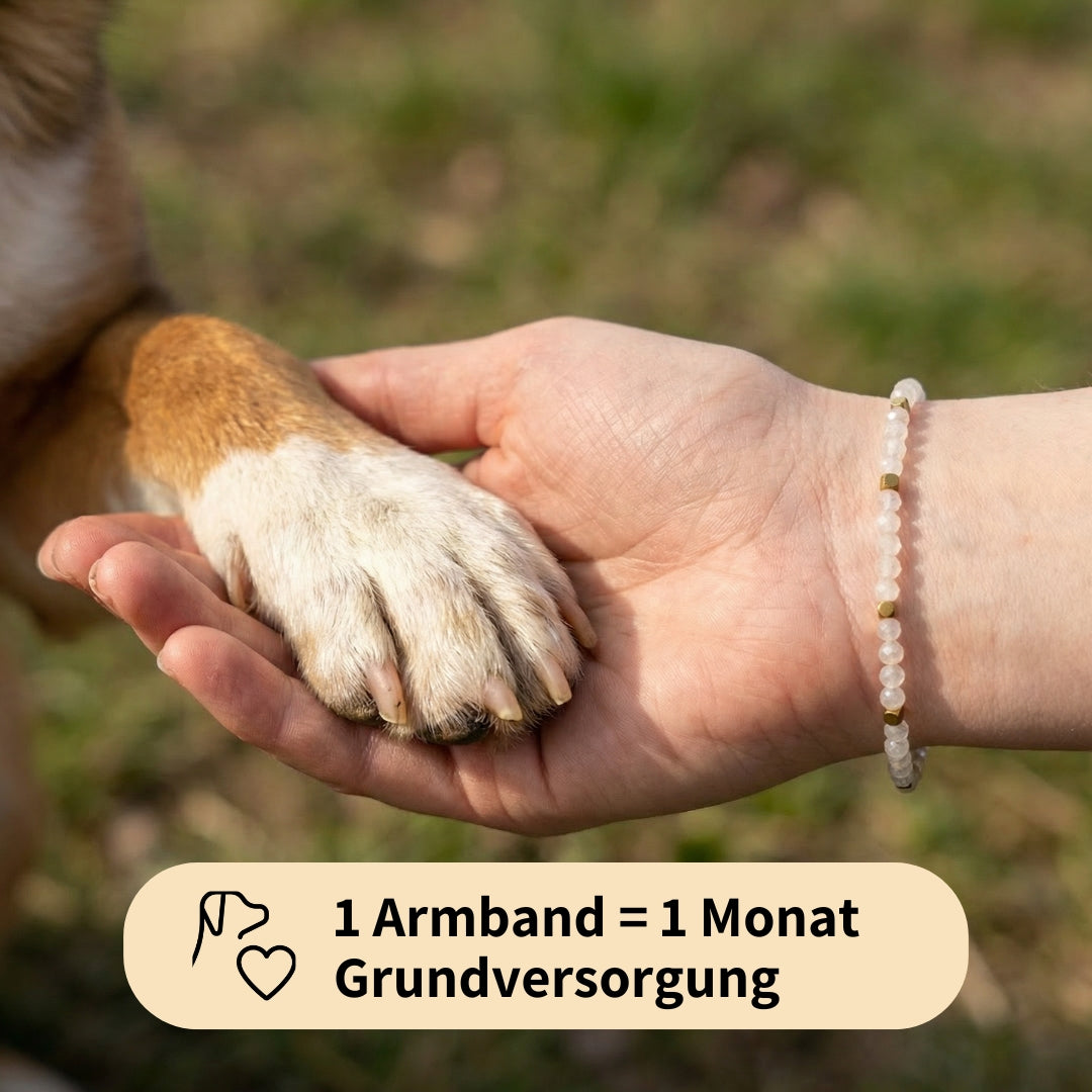 Paw Love Bracelet