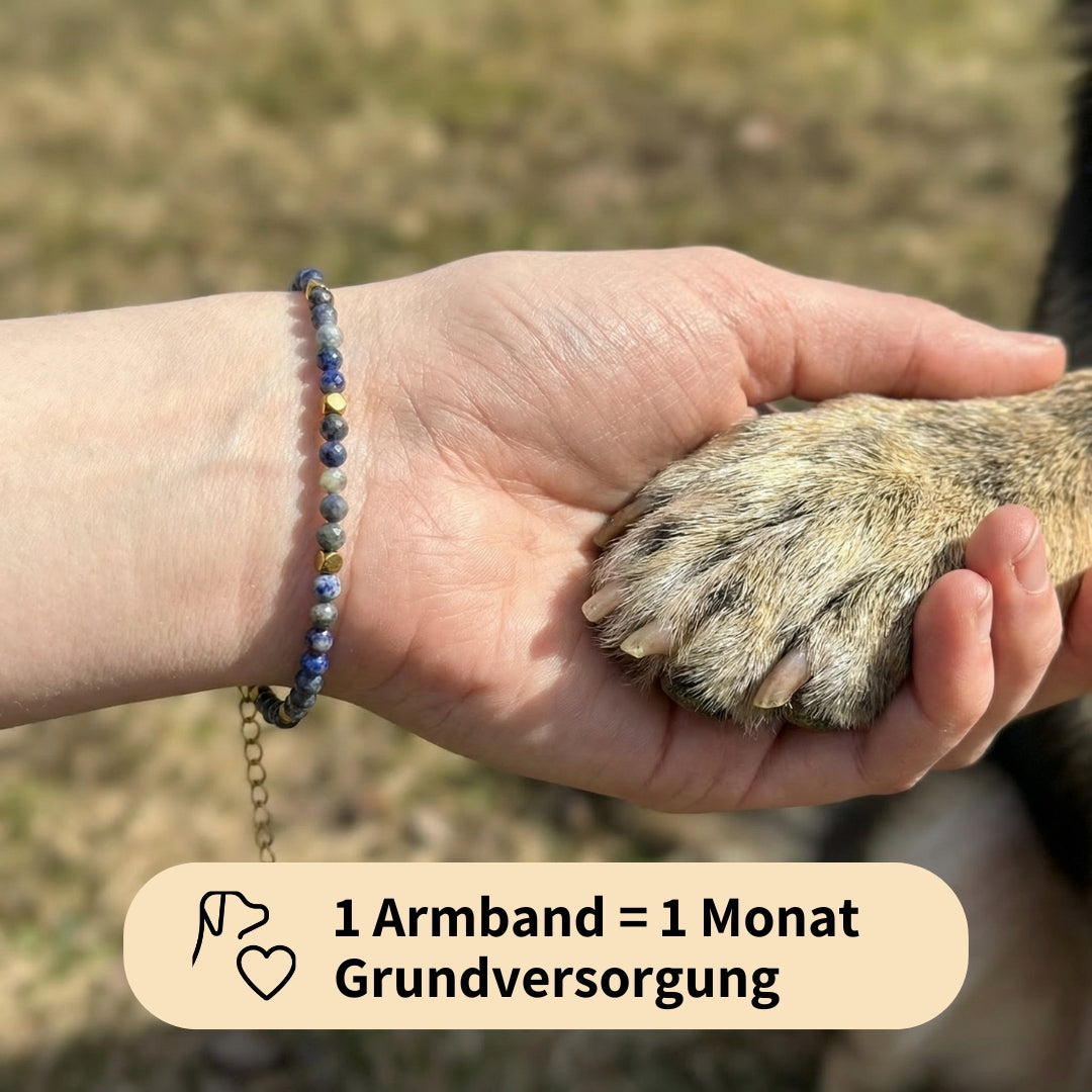 Paw Love Bracelet