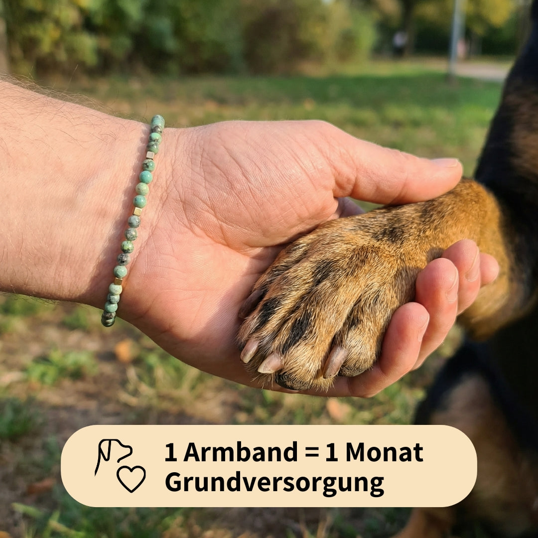 Paw Love Bracelet
