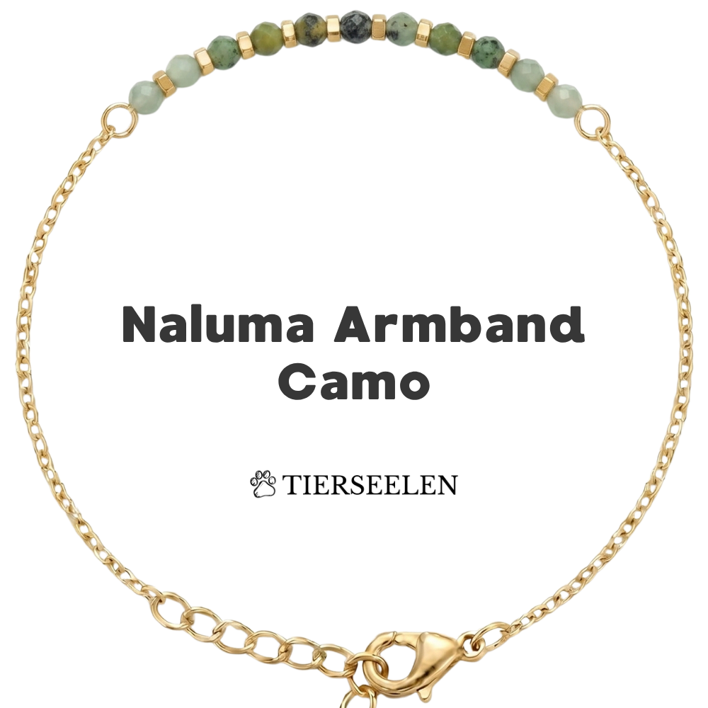 Paw Love Bracelet