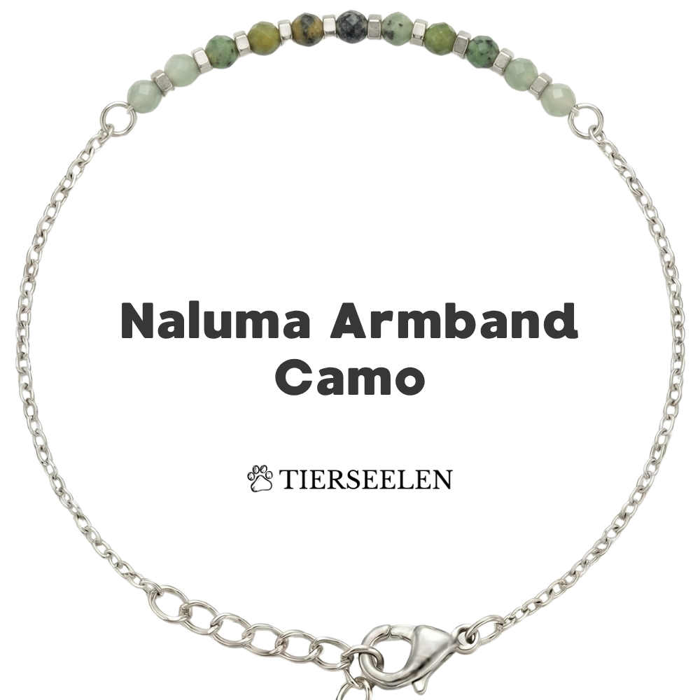 Paw Love Bracelet