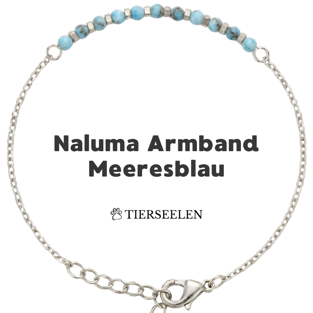 Paw Love Bracelet