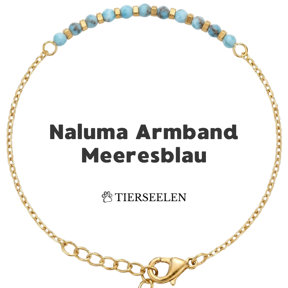 Paw Love Bracelet