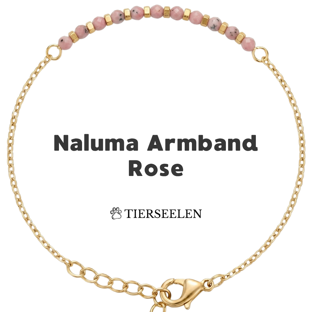 Paw Love Bracelet