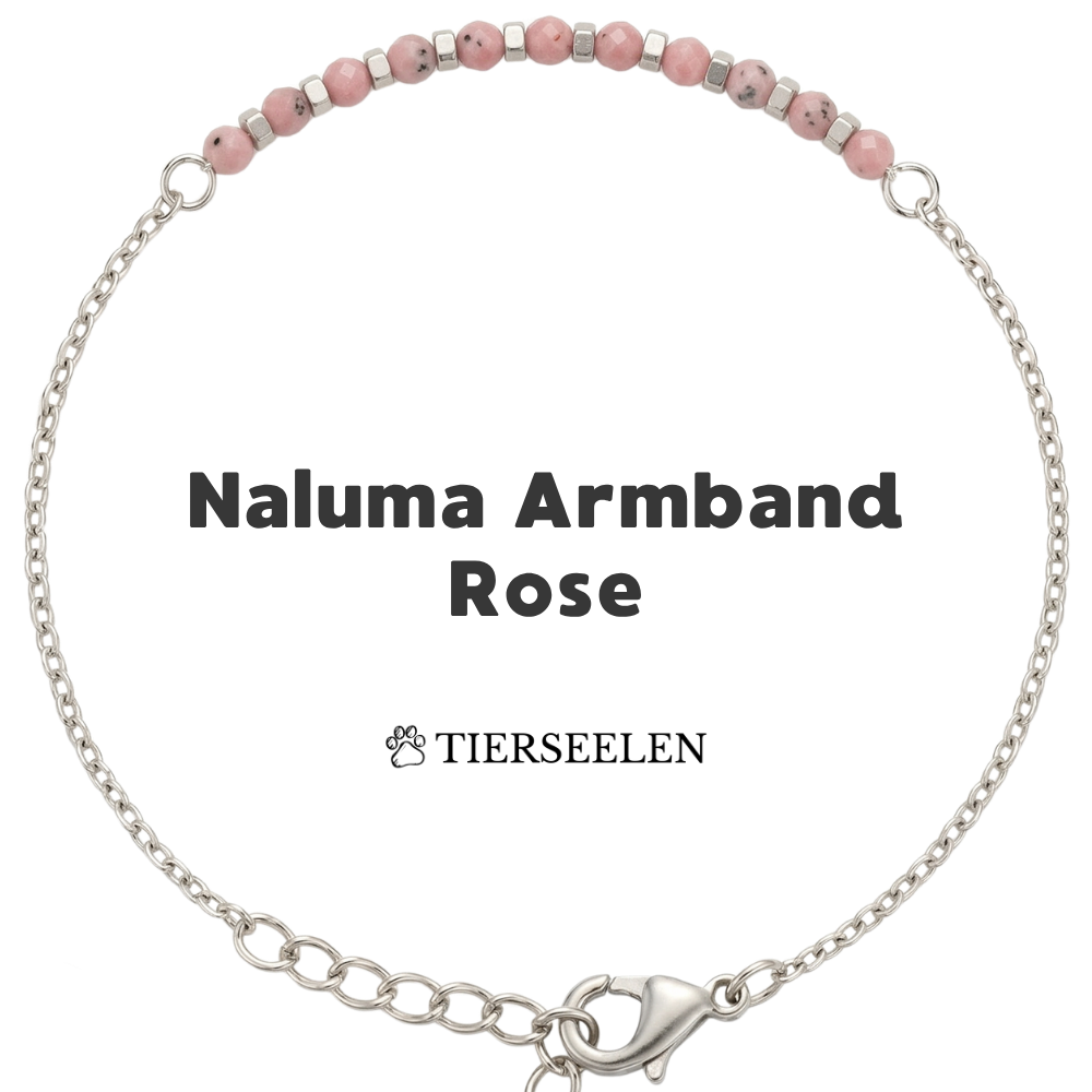 Paw Love Bracelet