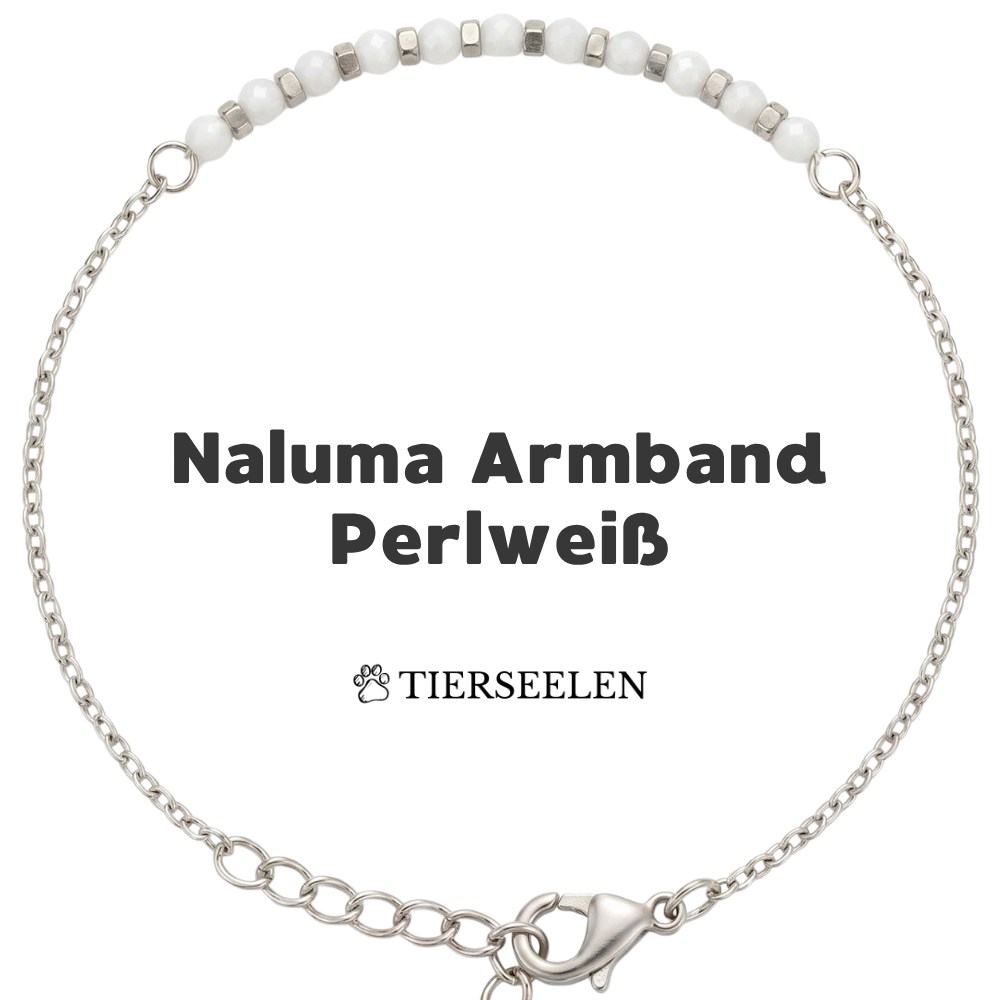 Paw Love Bracelet
