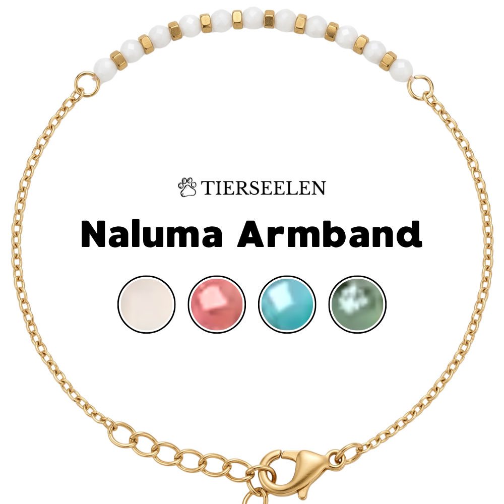 Paw Love Bracelet