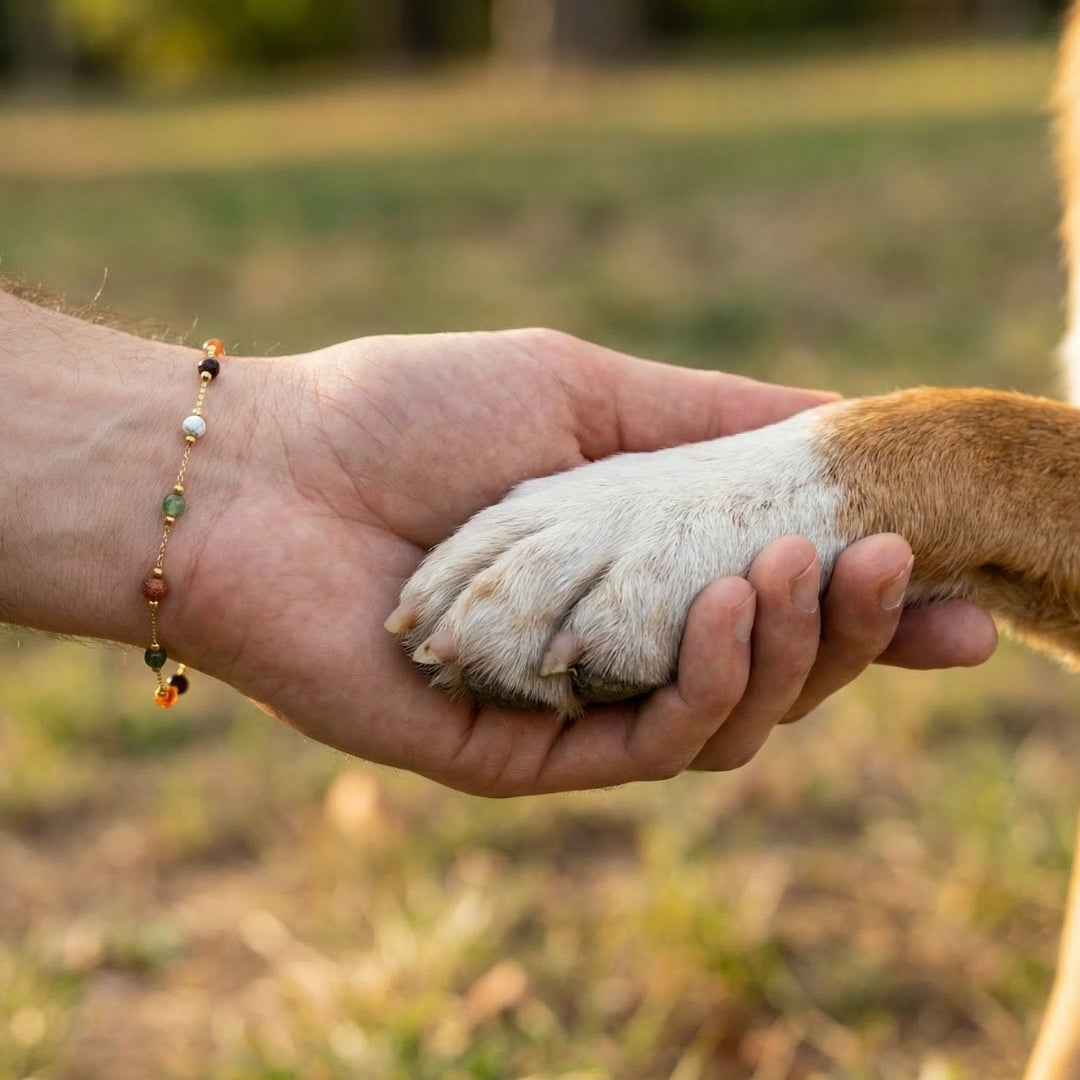 Paw Luck Bracelet