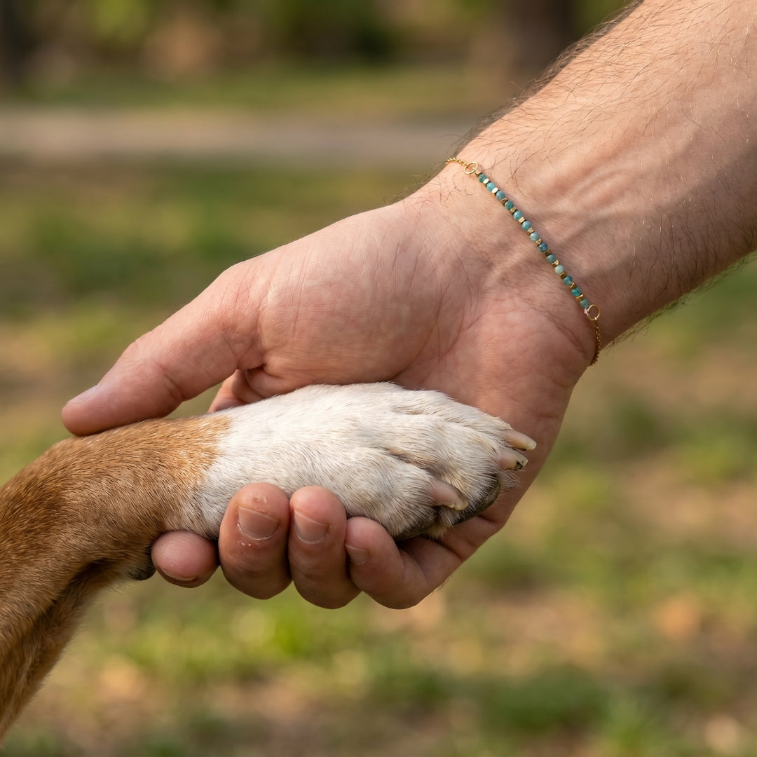 Paw Love Bracelet