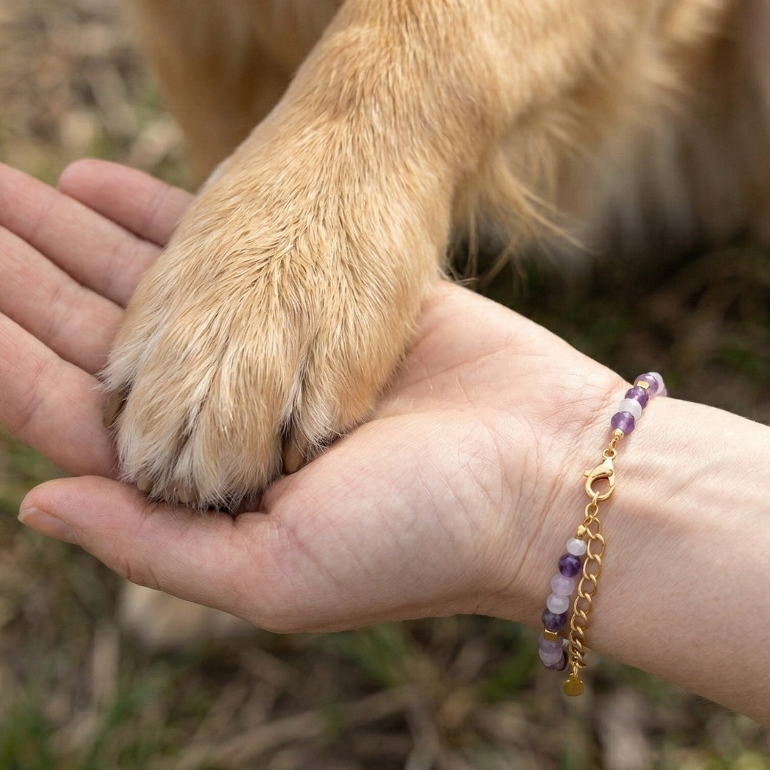 Paw Love Bracelet