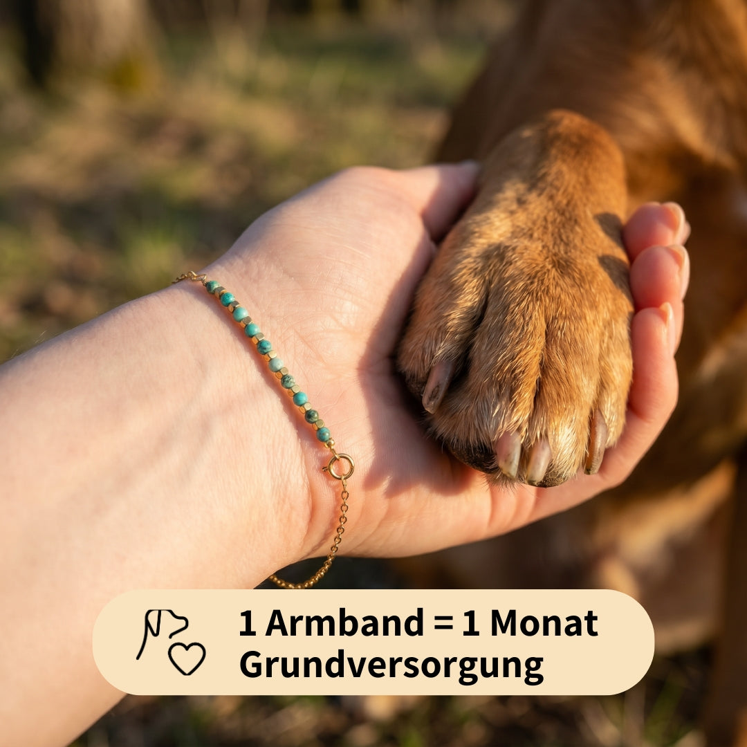 Paw Love Bracelet