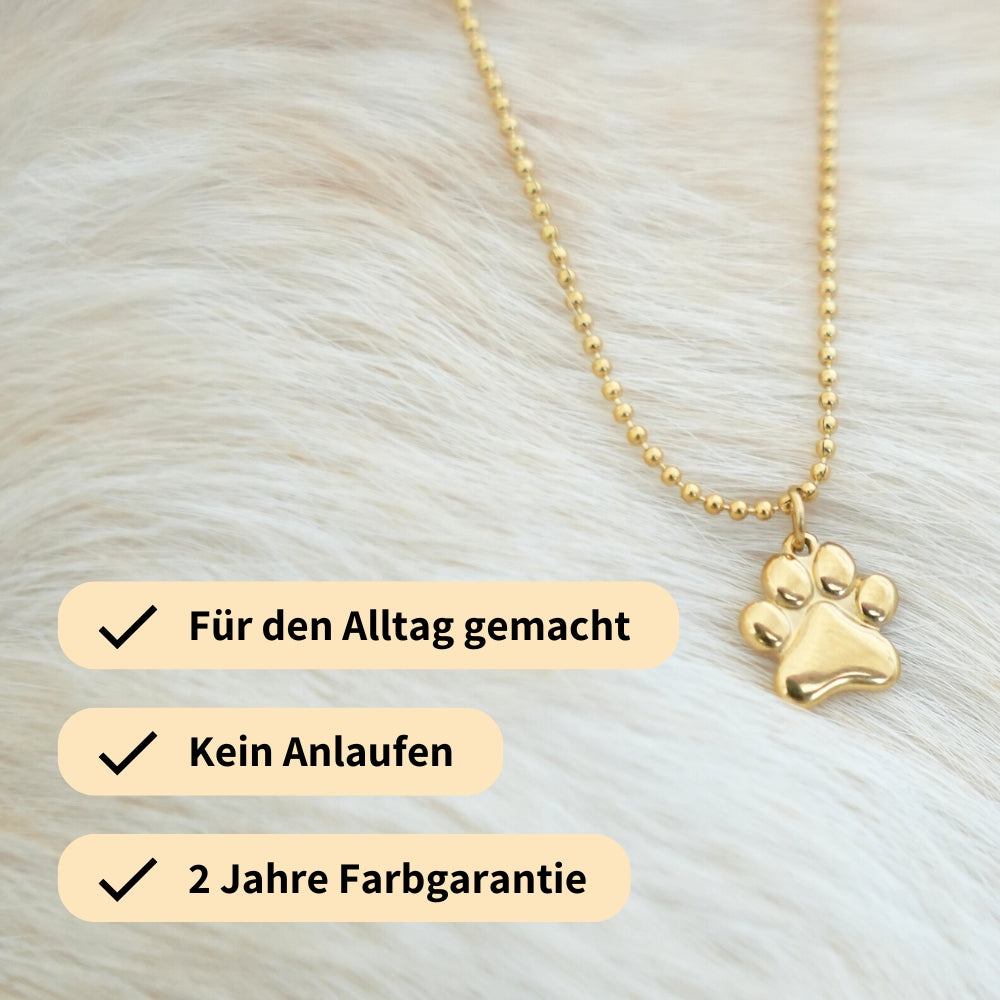 paw chain