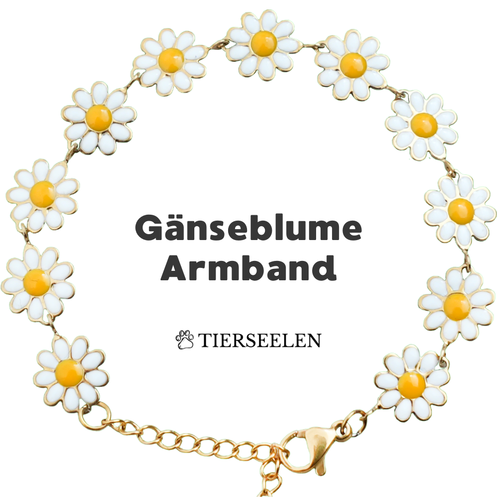 Daisy bracelet