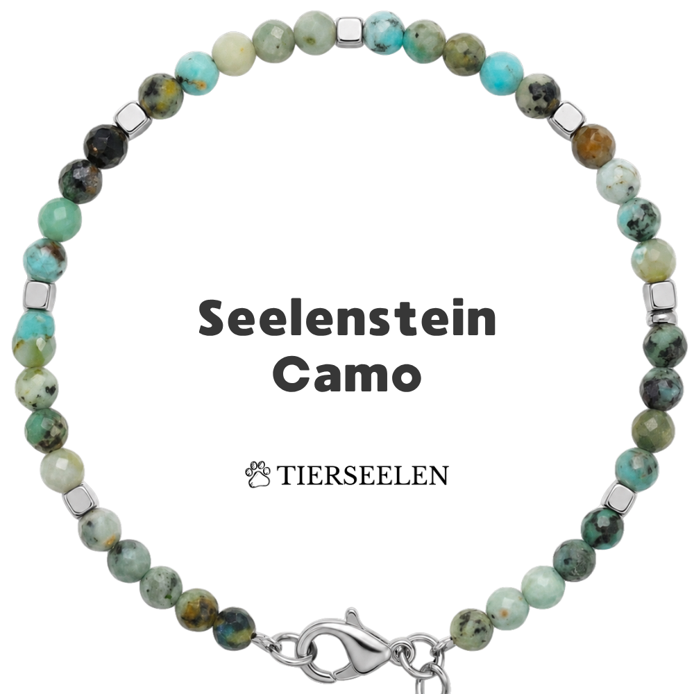 Paw Love Bracelet