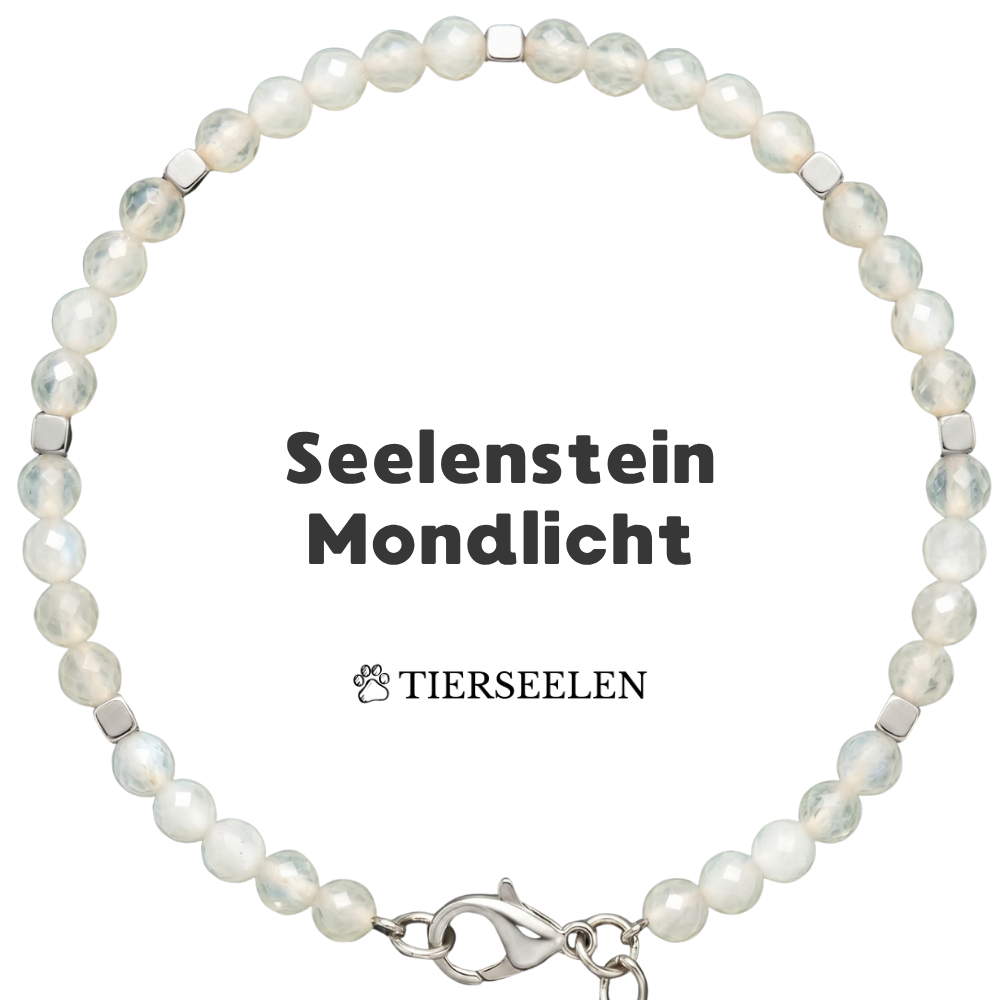 Paw Love Bracelet