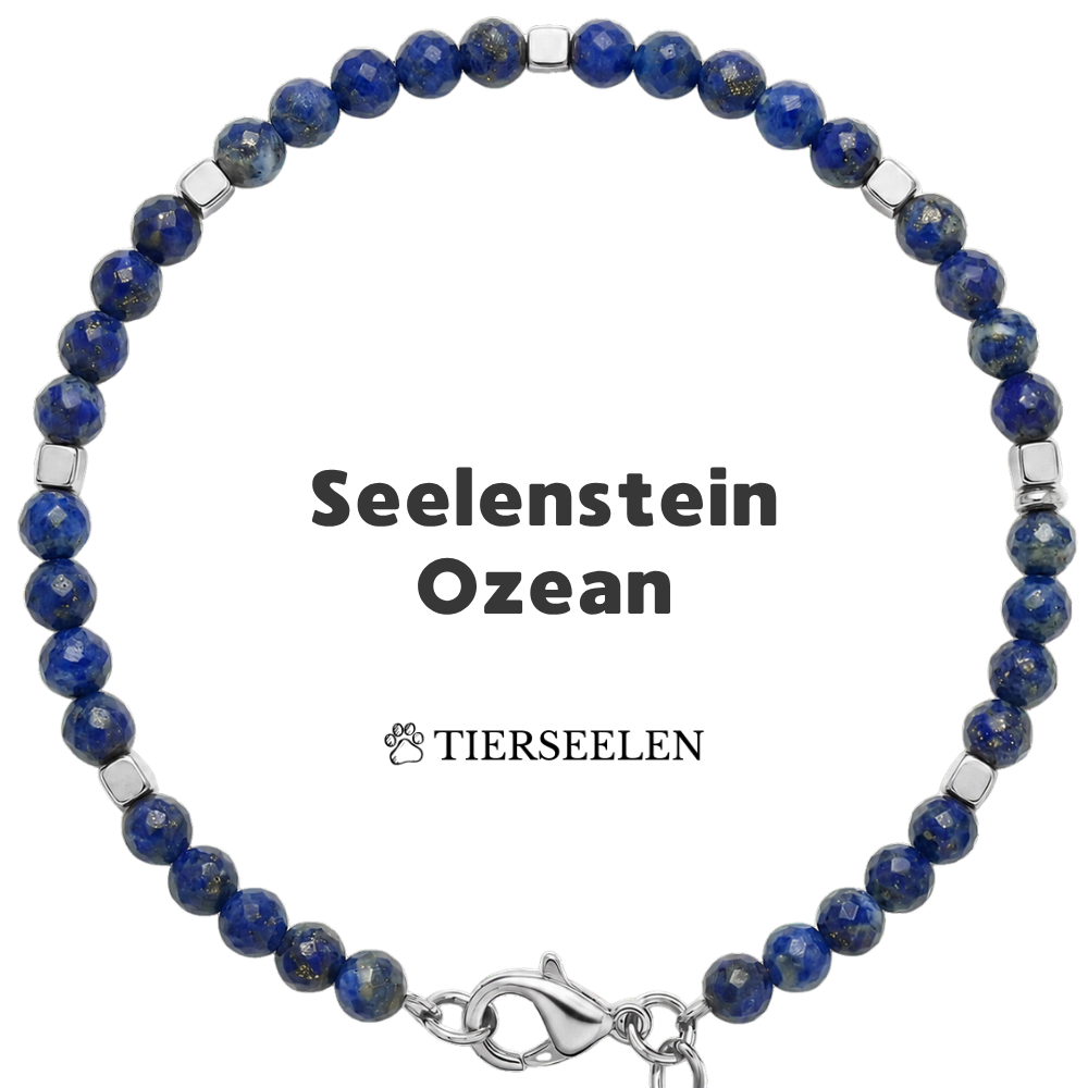 Paw Love Bracelet