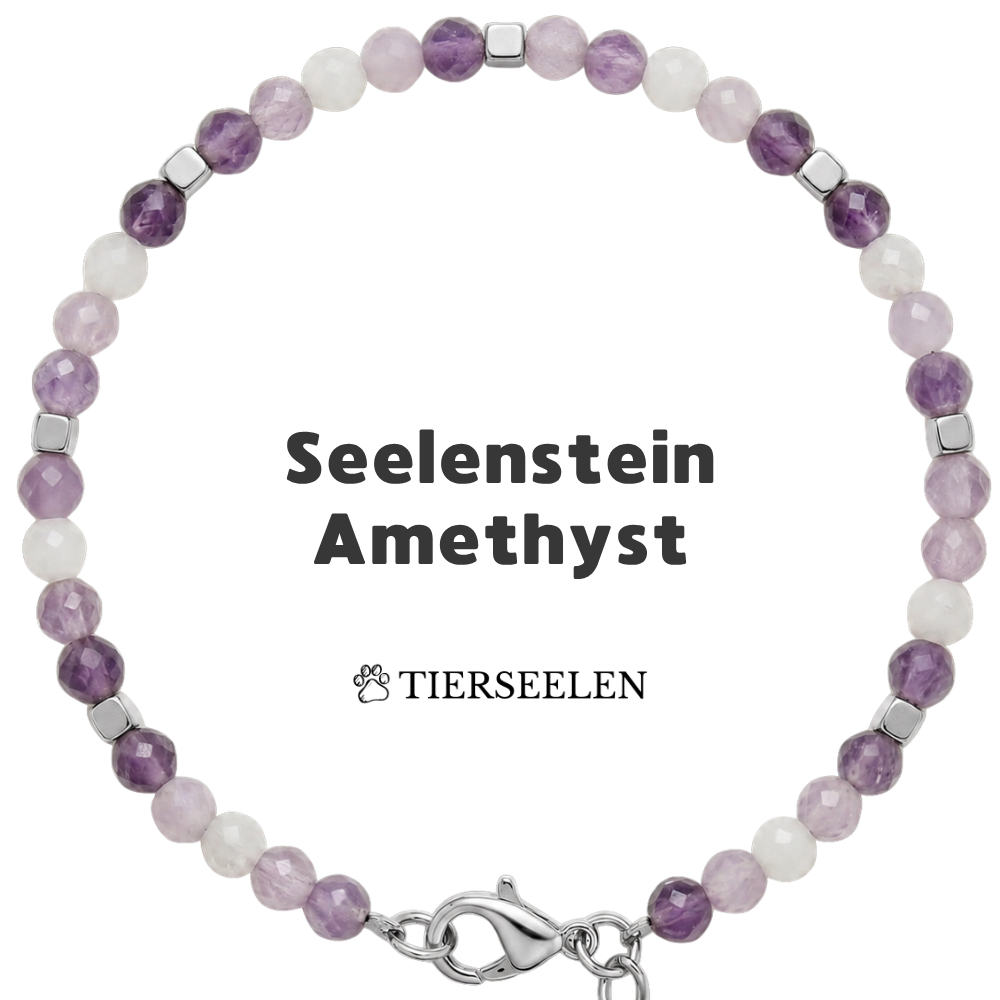 Paw Love Bracelet