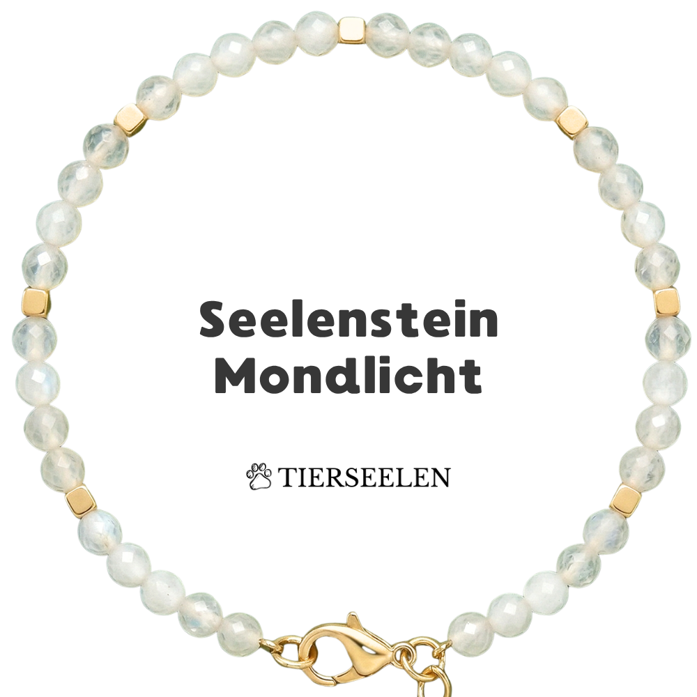 Paw Love Bracelet
