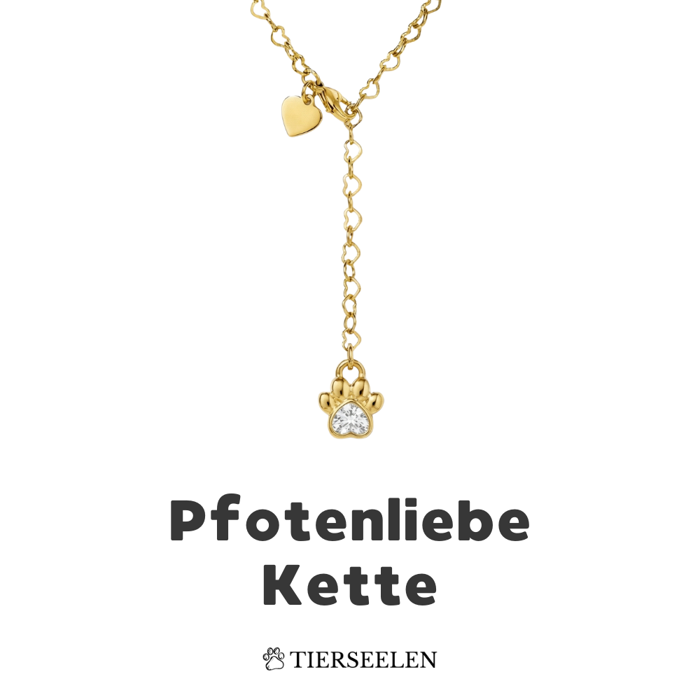Paw Love Necklace