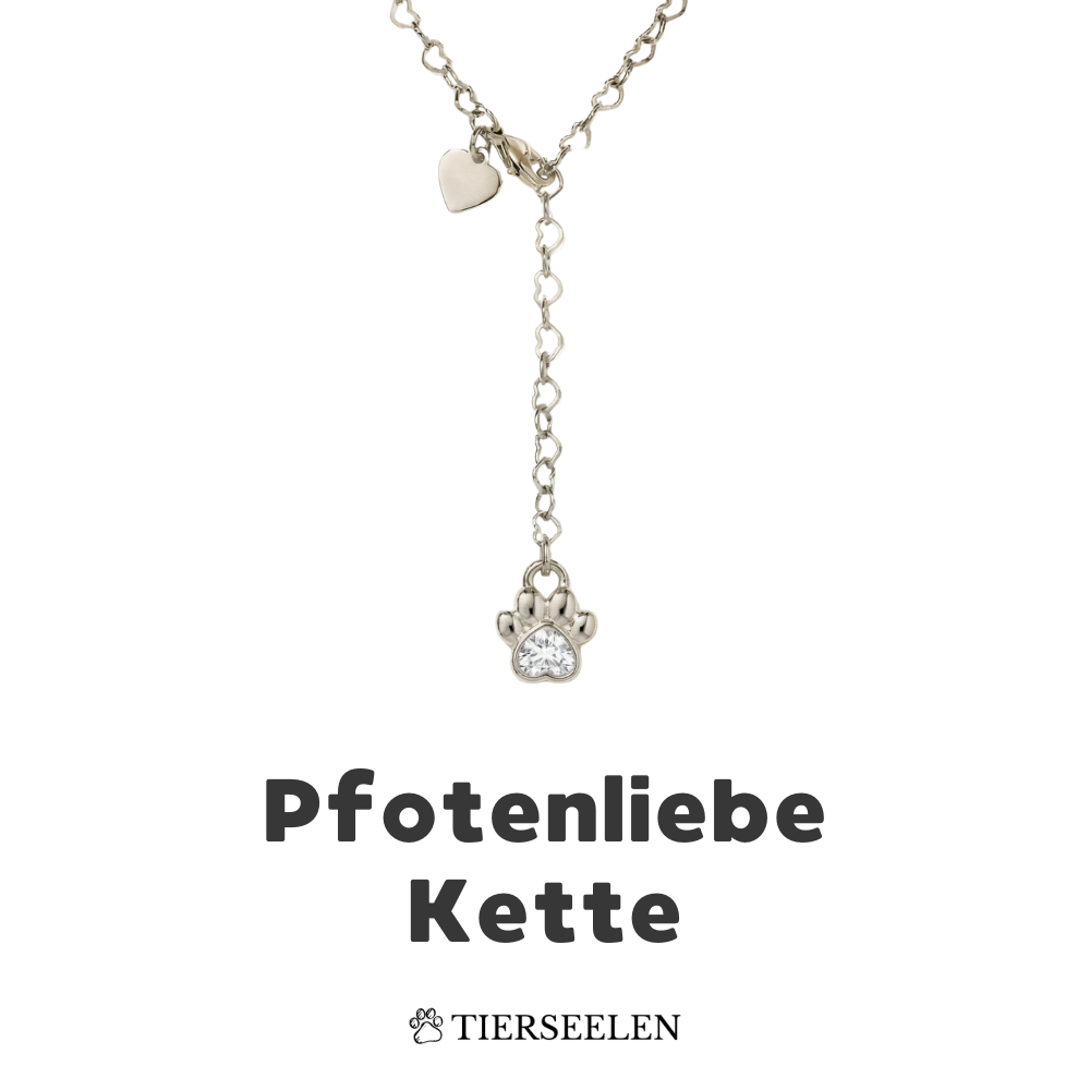 Paw Love Necklace