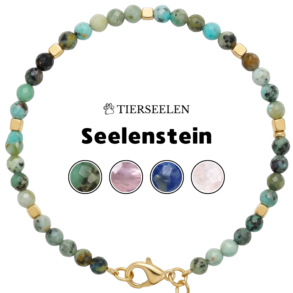 Paw Love Bracelet