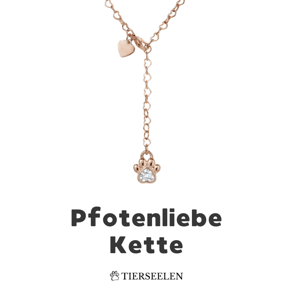 Paw Love Necklace