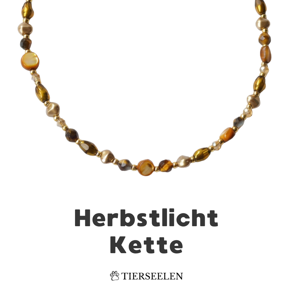 Herbstlicht Kette