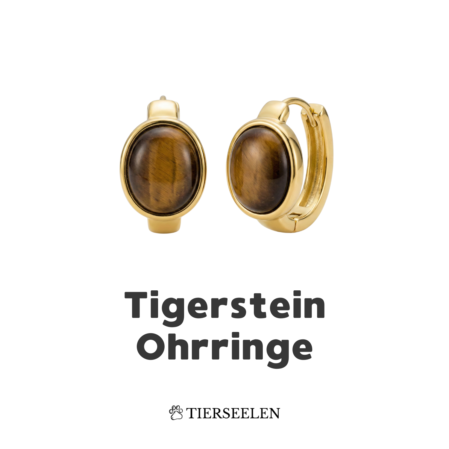 Tiger Stone Earrings