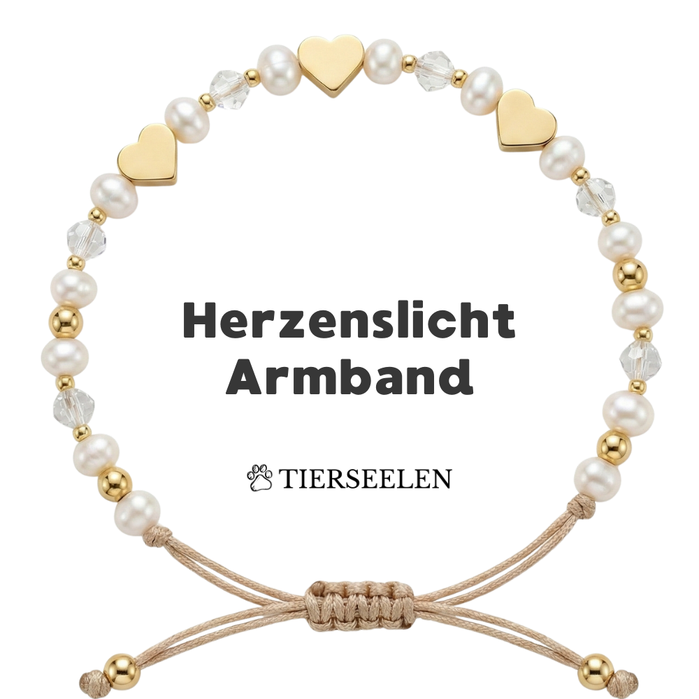 Paw Love Bracelet