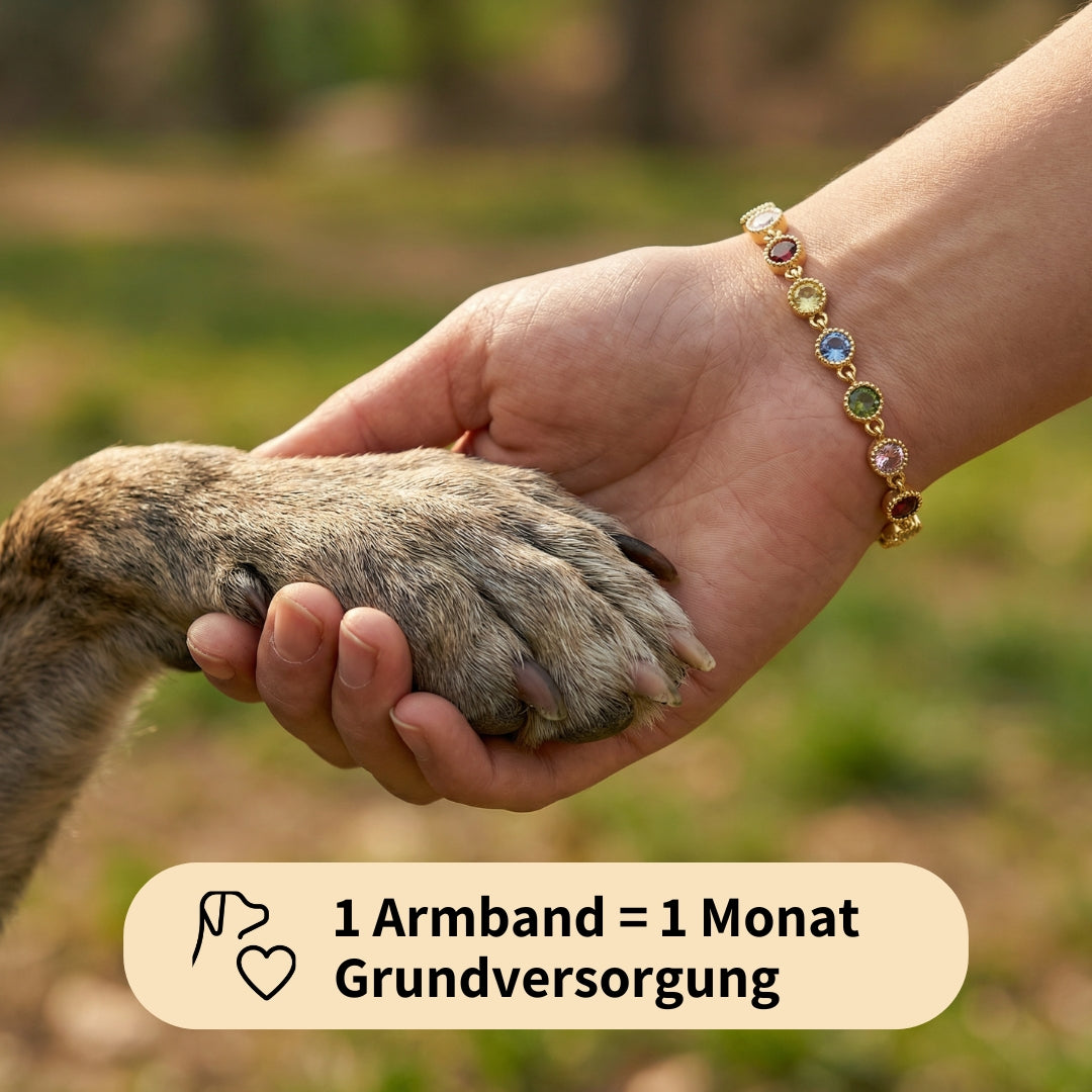 Paw Luck Bracelet