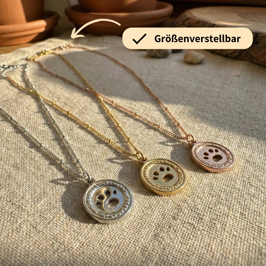 Paw Coin Chain