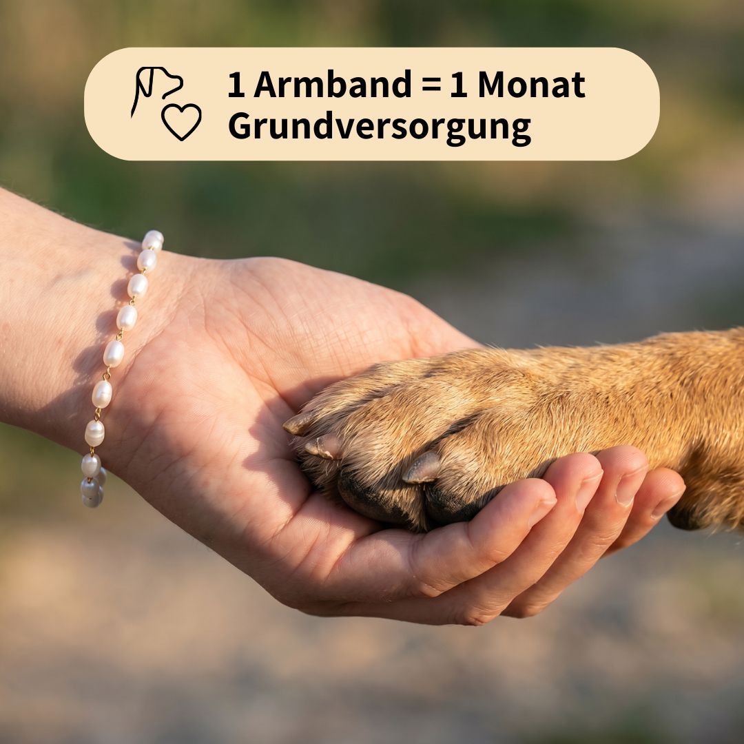 Paw Luck Bracelet
