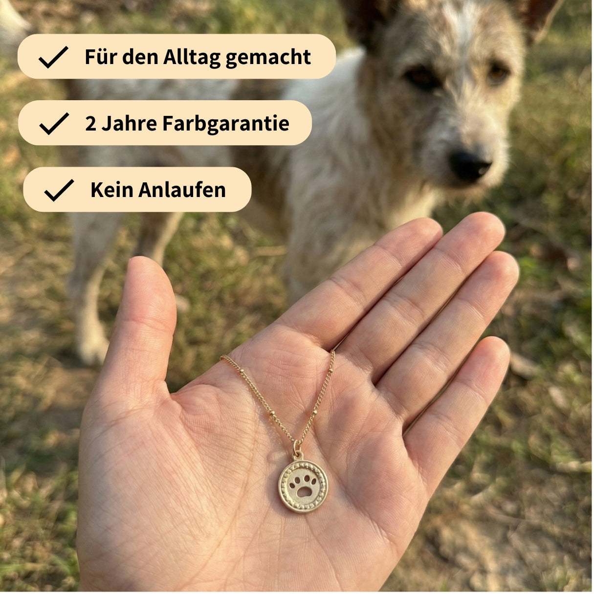 Paw Coin Chain