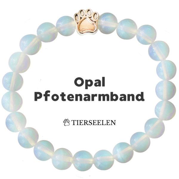 Pfotenarmband - Opal