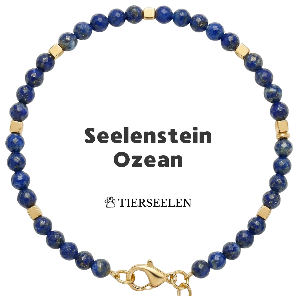 Paw Love Bracelet