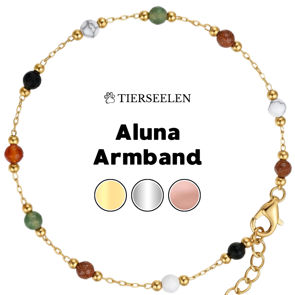 Paw Luck Bracelet